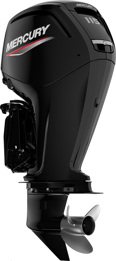 Mercury F100